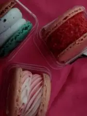 S  プロフ必読の画像
