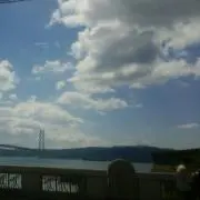 ネコ