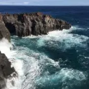 Minakoの画像