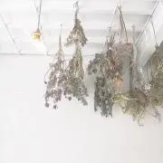 まるの画像