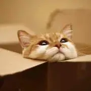 うい