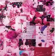mimi.kの画像
