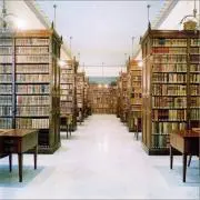 wizardの画像
