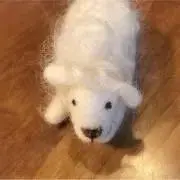 Yoaの画像
