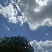 yuuuの画像