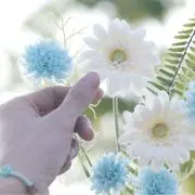 みかんの画像