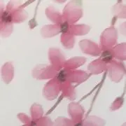 Ru
