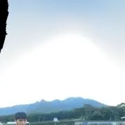 めぽこ