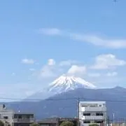 ユーザーtdt