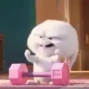 ぬーぴーの画像