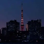 リトマス紙