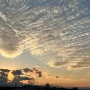 lainie80の画像