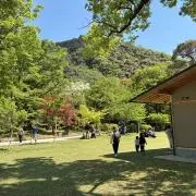nicoの画像