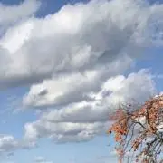 Oの画像