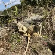 ✳︎モアナ✳︎おまとめ大歓迎の画像