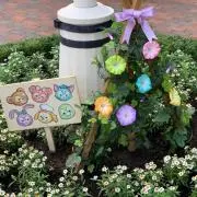 mihorinの画像