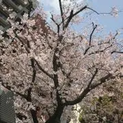 はい
