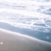 もえの画像