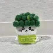 noriの画像