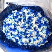 msts_happy