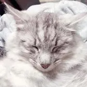 miiiiiの画像