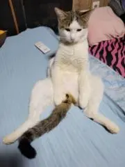 ゆあの画像