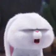 あ。の画像
