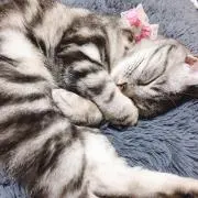 ゆずの画像