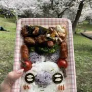 おにゃんこぽん