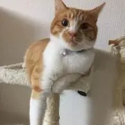TAKAの画像