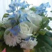mayの画像