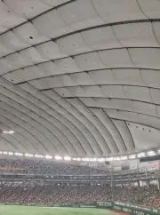 Luisの画像