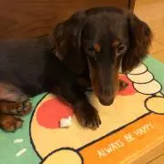 ひなママの画像