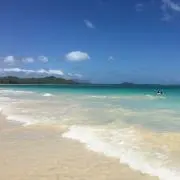 こたろう(ただ今断捨離中！)の画像