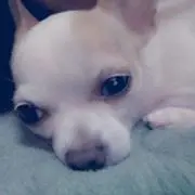 宇城消防魂男