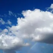ふわの画像