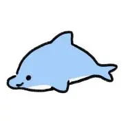 いるかの画像