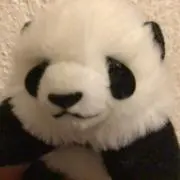 umi0805の画像