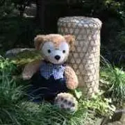 だっふぃ  プロフィール読んでねの画像