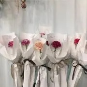 Arsの画像