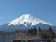 Mターキーの画像
