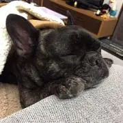 TORA♡