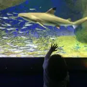 Kanaeの画像