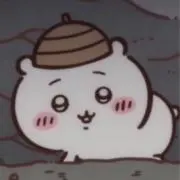 あざらしの画像