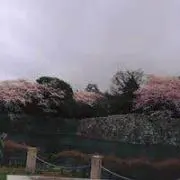 藤澤 浩造