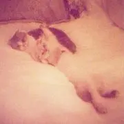 ゆう