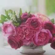 marriaの画像