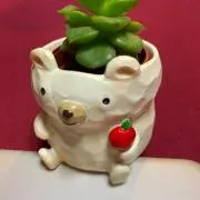 しろくまの画像