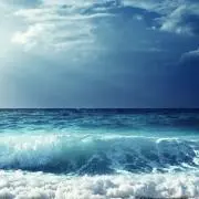 らんらん　プロフ