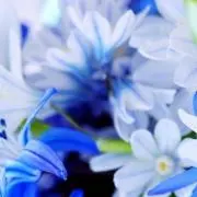 ネオの画像